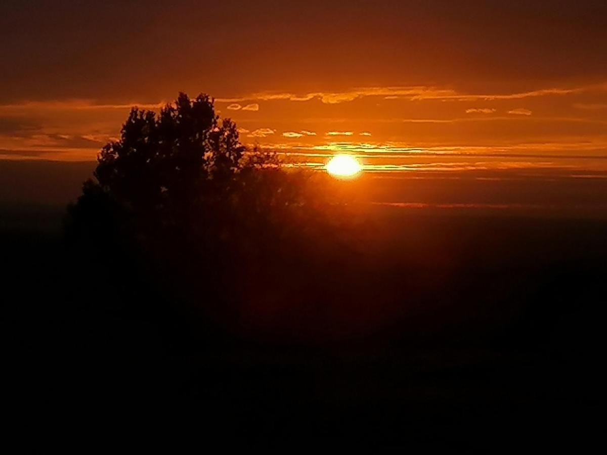 Gite De La Tuiliere Clermont-d'Excideuil Buitenkant foto